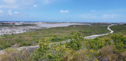 thumb_20180610_102605.jpg
