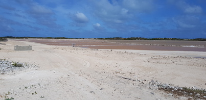 thumb_20180610_154955.jpg