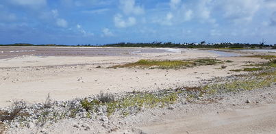 thumb_20180610_155001.jpg