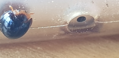 thumb_20180611_144524.jpg