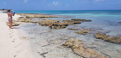 thumb_20180612_112403.jpg