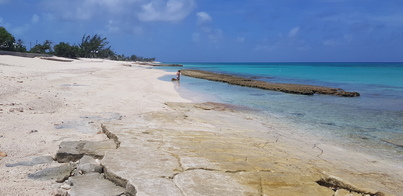 thumb_20180612_112756.jpg