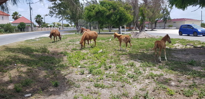 thumb_20180612_115451.jpg
