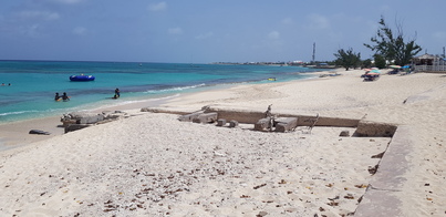 thumb_20180614_105031.jpg