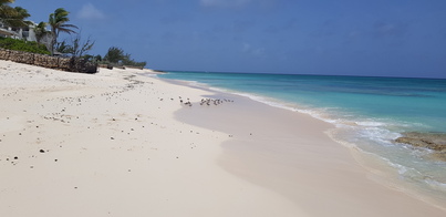 thumb_20180614_105844.jpg