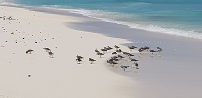thumb_20180614_105856.jpg