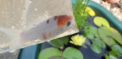 thumb_20180701_144206.jpg