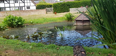 thumb_20180703_121857.jpg