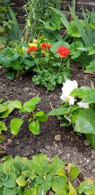 thumb_20180712_163723.jpg