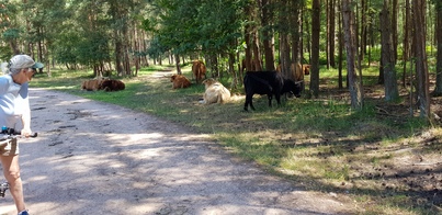 thumb_20180715_140847.jpg