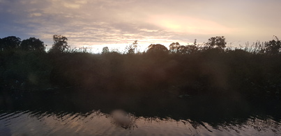 thumb_20180729_205119.jpg