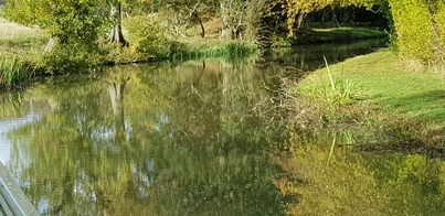 thumb_20181017_153806.jpg