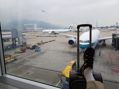 thumb_20181113_084930.jpg