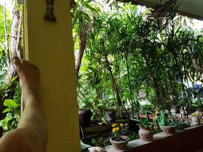 thumb_20181113_170901.jpg