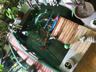 thumb_20181115_154740.jpg