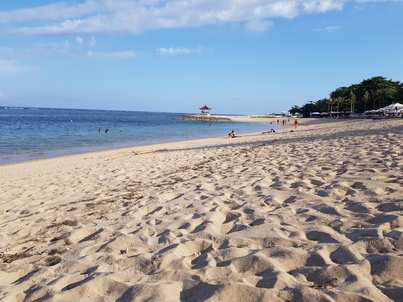 thumb_20181116_163319.jpg
