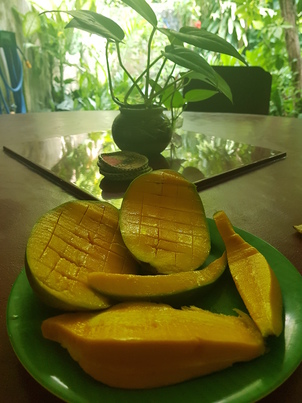 thumb_20181122_083026.jpg
