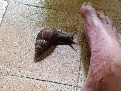 thumb_20181124_091237.jpg