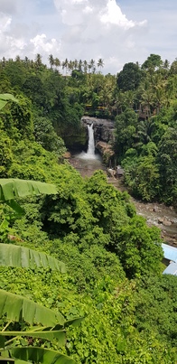 thumb_20181205_123929.jpg