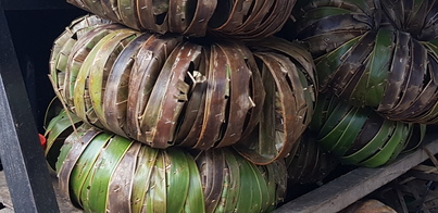 thumb_20181205_150013.jpg