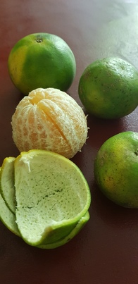 thumb_20181210_104003.jpg
