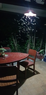 thumb_20181226_191719.jpg