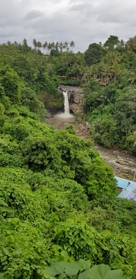 thumb_20190102_152320.jpg