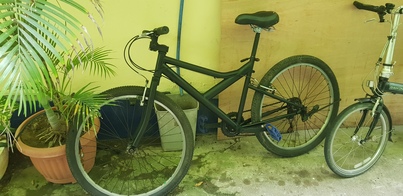 thumb_20190103_120541.jpg
