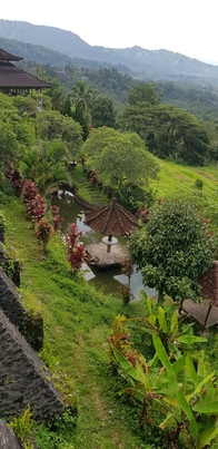 thumb_20190104_104502.jpg