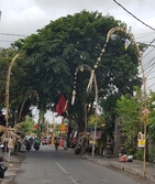 thumb_20190104_123813.jpg