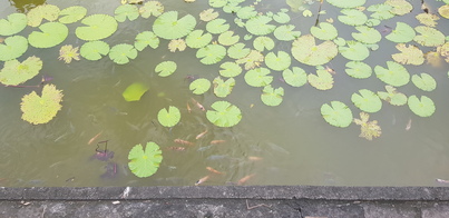 thumb_20190104_141138.jpg
