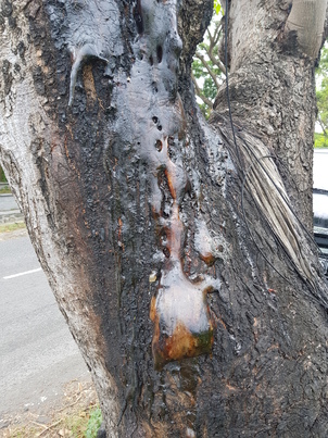 thumb_20190106_103148.jpg