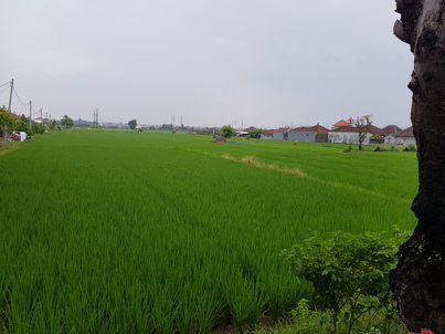 thumb_20190106_103215.jpg