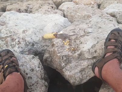 thumb_20190107_185222.jpg