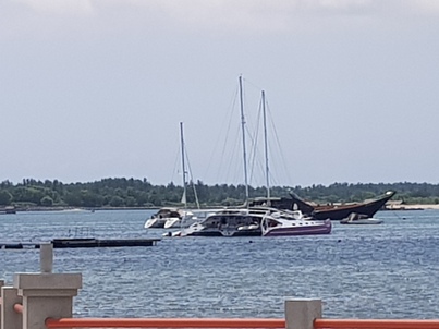 thumb_20190113_122907.jpg