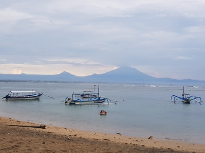 thumb_20190114_174133.jpg