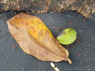 thumb_20190115_141437.jpg