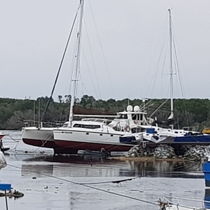 thumb_20190116_121214.jpg