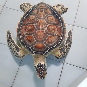 thumb_20190116_125750.jpg