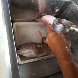 thumb_20190117_143429.jpg