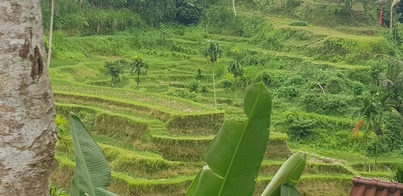 thumb_20190118_101816.jpg