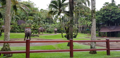 thumb_20190118_133432.jpg
