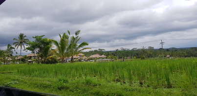 thumb_20190118_143400.jpg