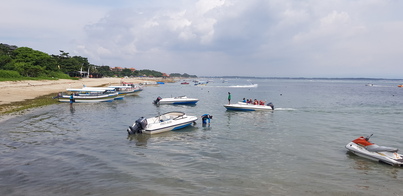 thumb_20190119_105537.jpg