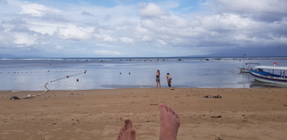 thumb_20190122_152746.jpg