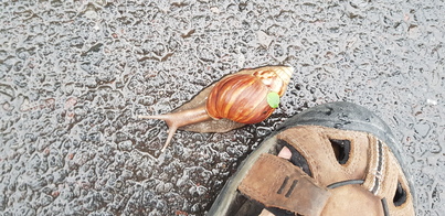 thumb_20190123_065759.jpg