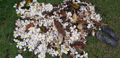 thumb_20190123_070637.jpg