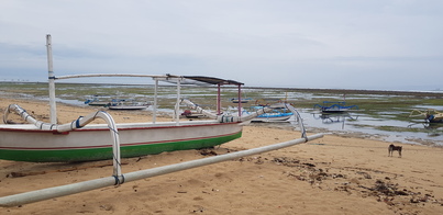 thumb_20190123_070744.jpg
