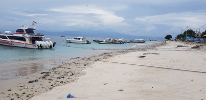 thumb_20190123_124718.jpg