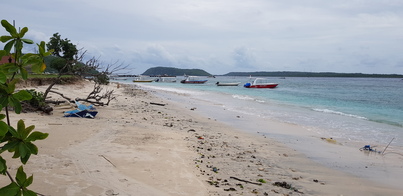 thumb_20190123_130416.jpg